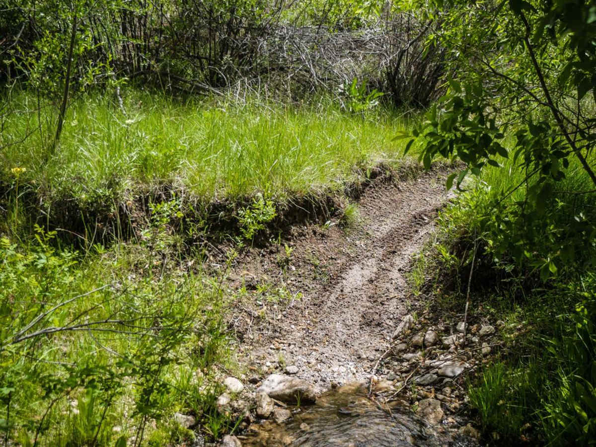 421 trail photo