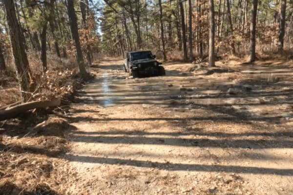 Bulldozed Road