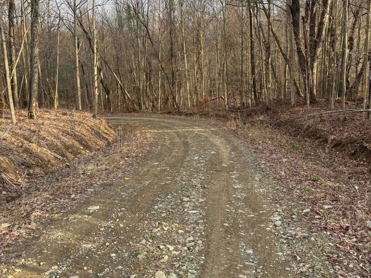 Welch Road photo 5