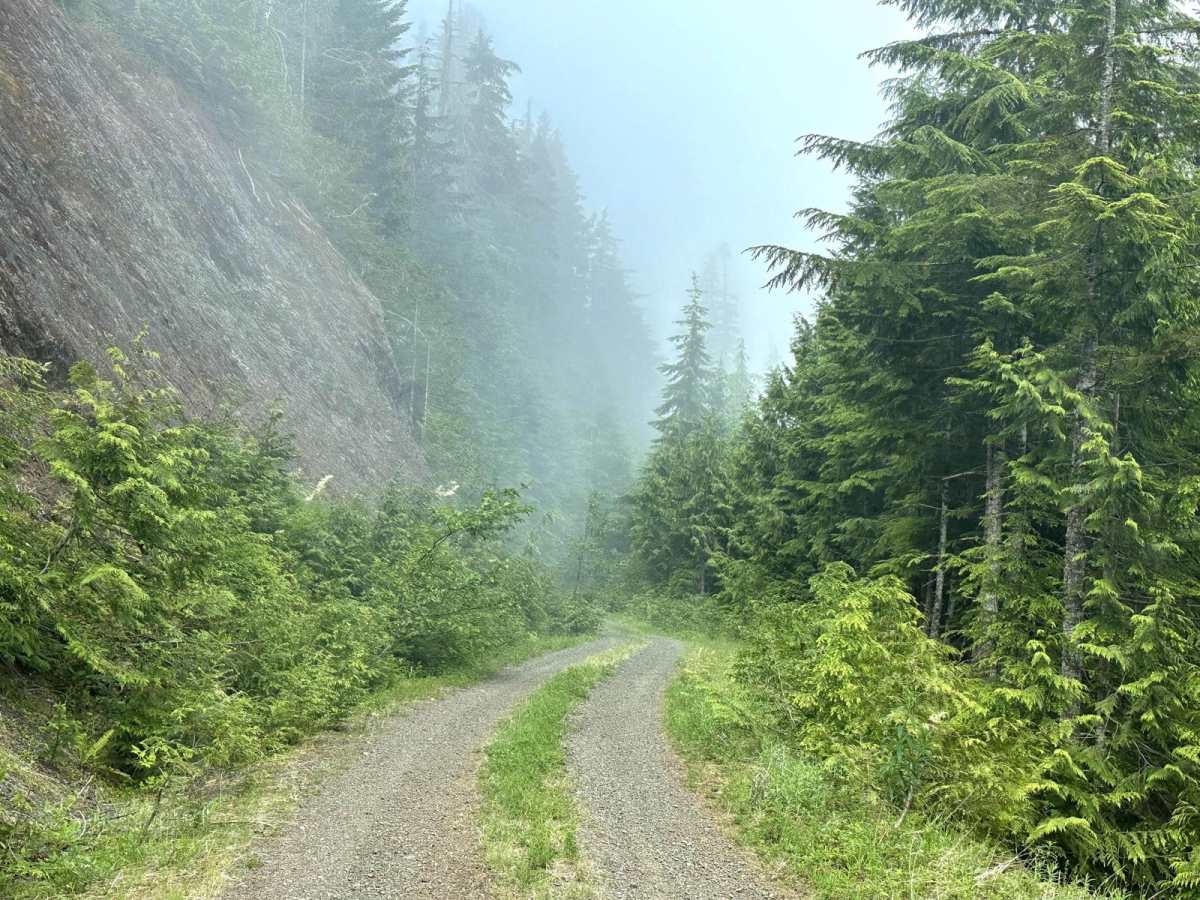 Humptulips Ridgeline Trail photo 4
