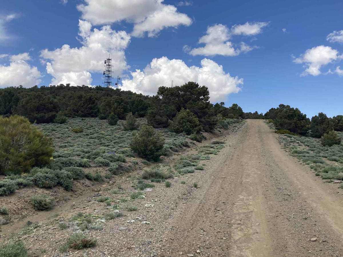 Microwave Road FS 42192 trail photo