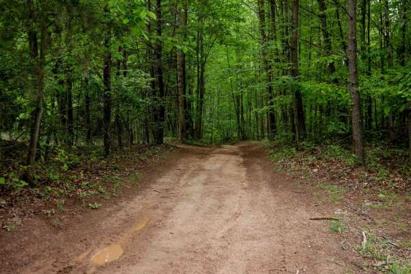 Trail 1