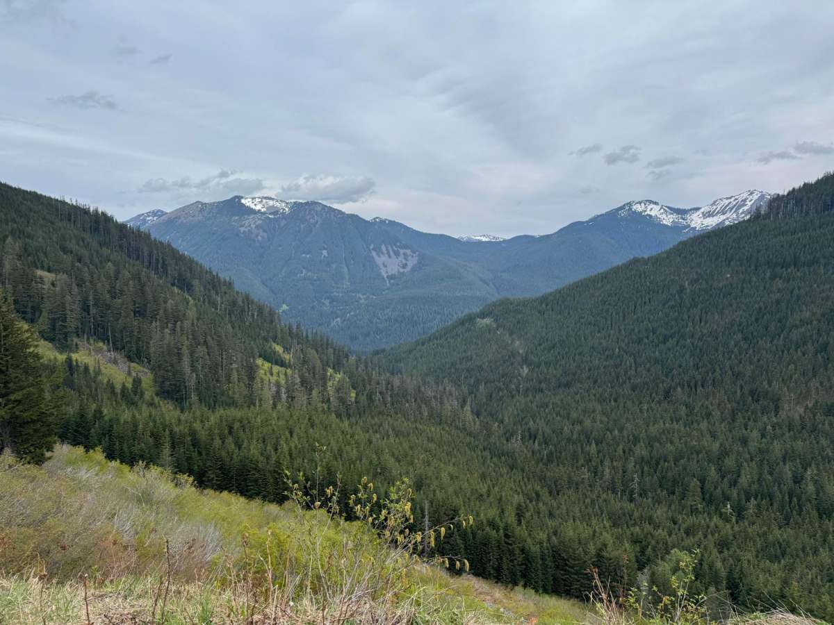 Hanson Creek - 5510 trail photo