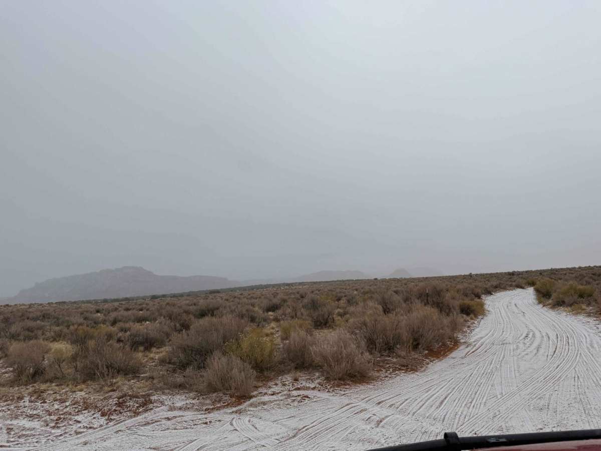 BLM M0000-M4186 trail photo