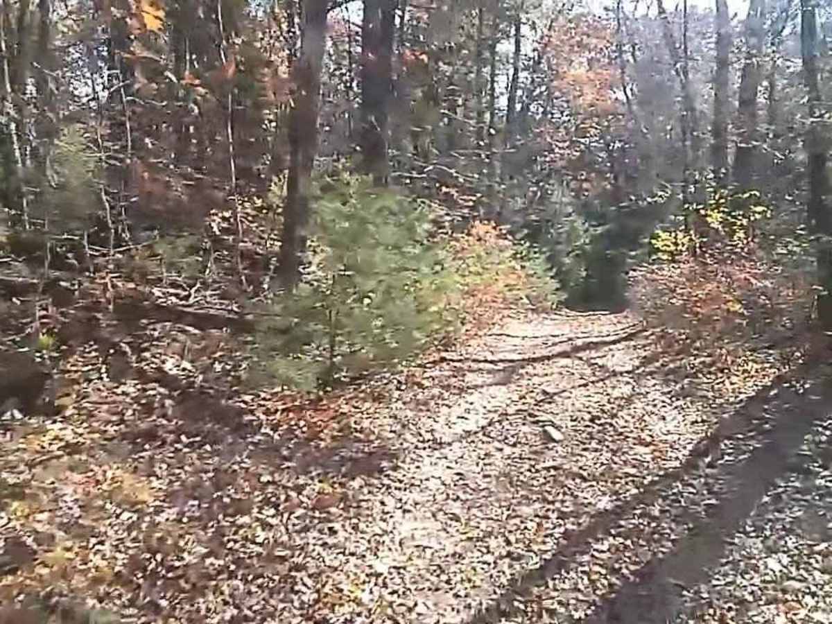 Wakefield Pond & Silver Brook Roads photo 2