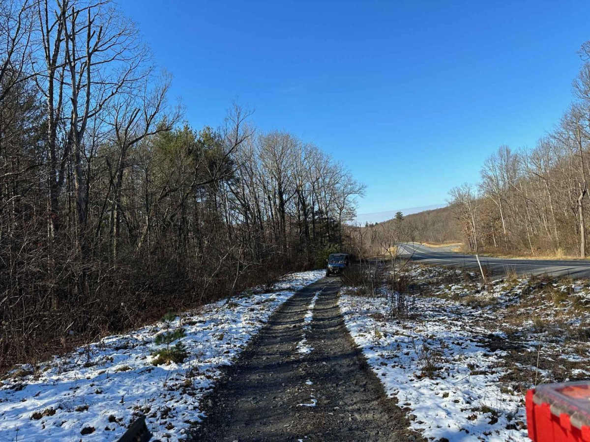 Locust Gap 57 trail photo