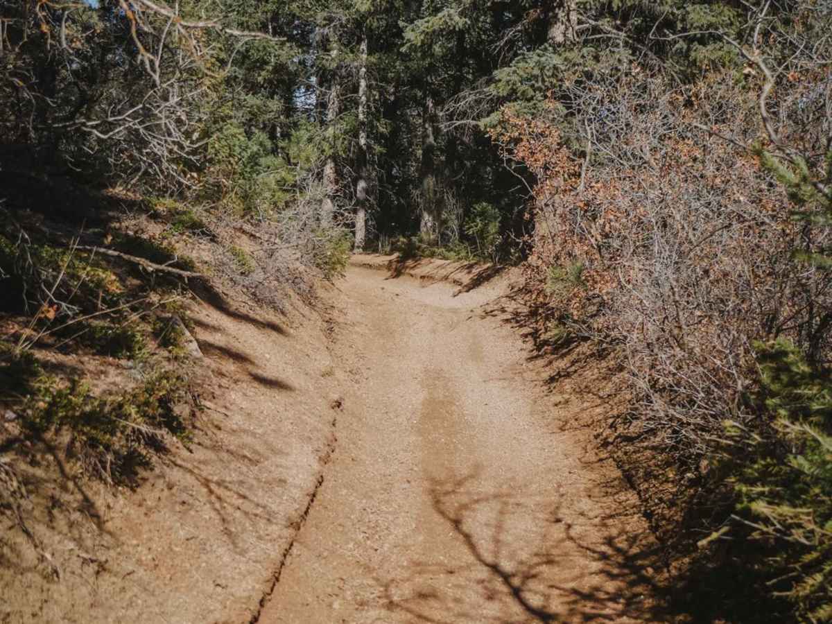 682 Overlook ATV Trail photo 4