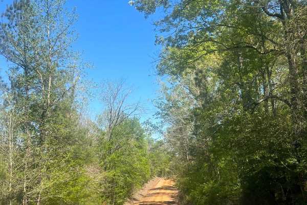 Sugar Creek Road