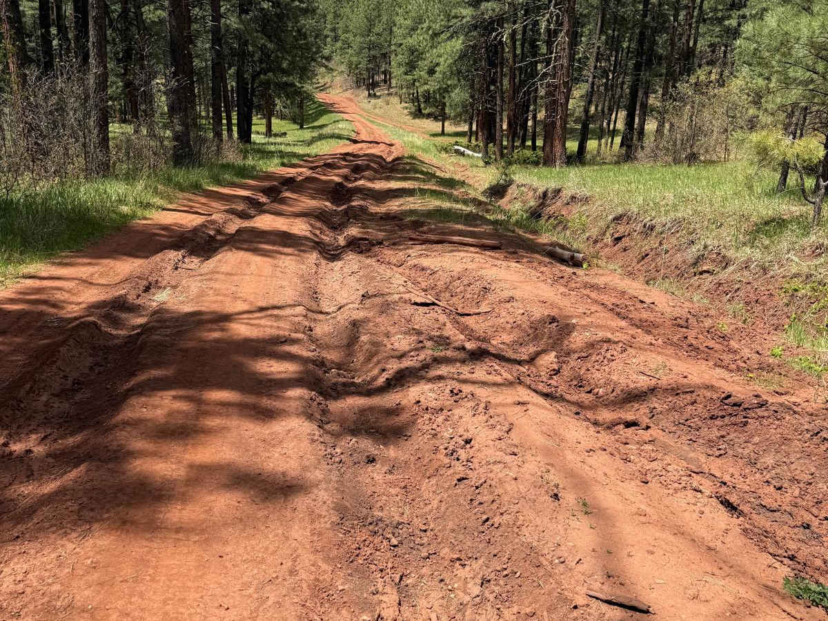 Moon Canyon - FR 117 photo 2