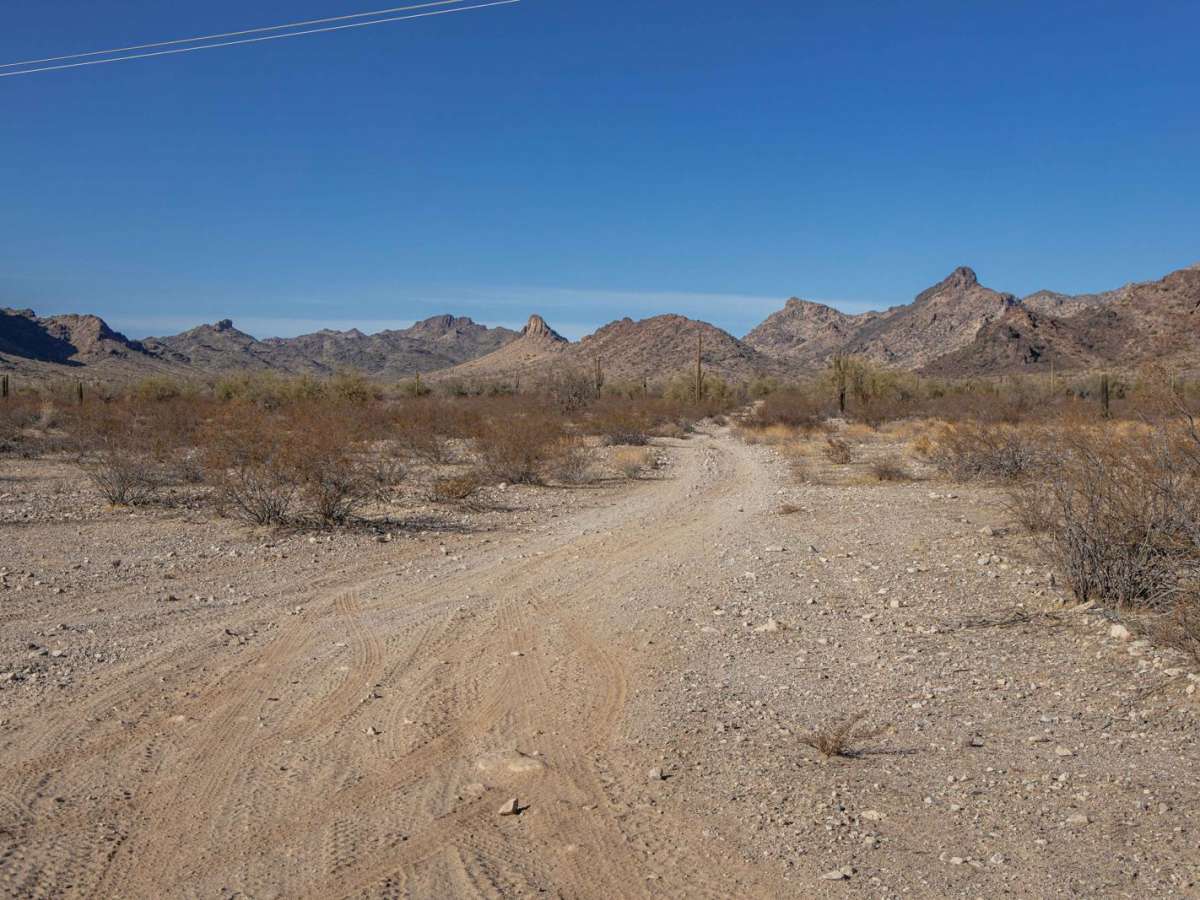 Morning Star Mine trail photo