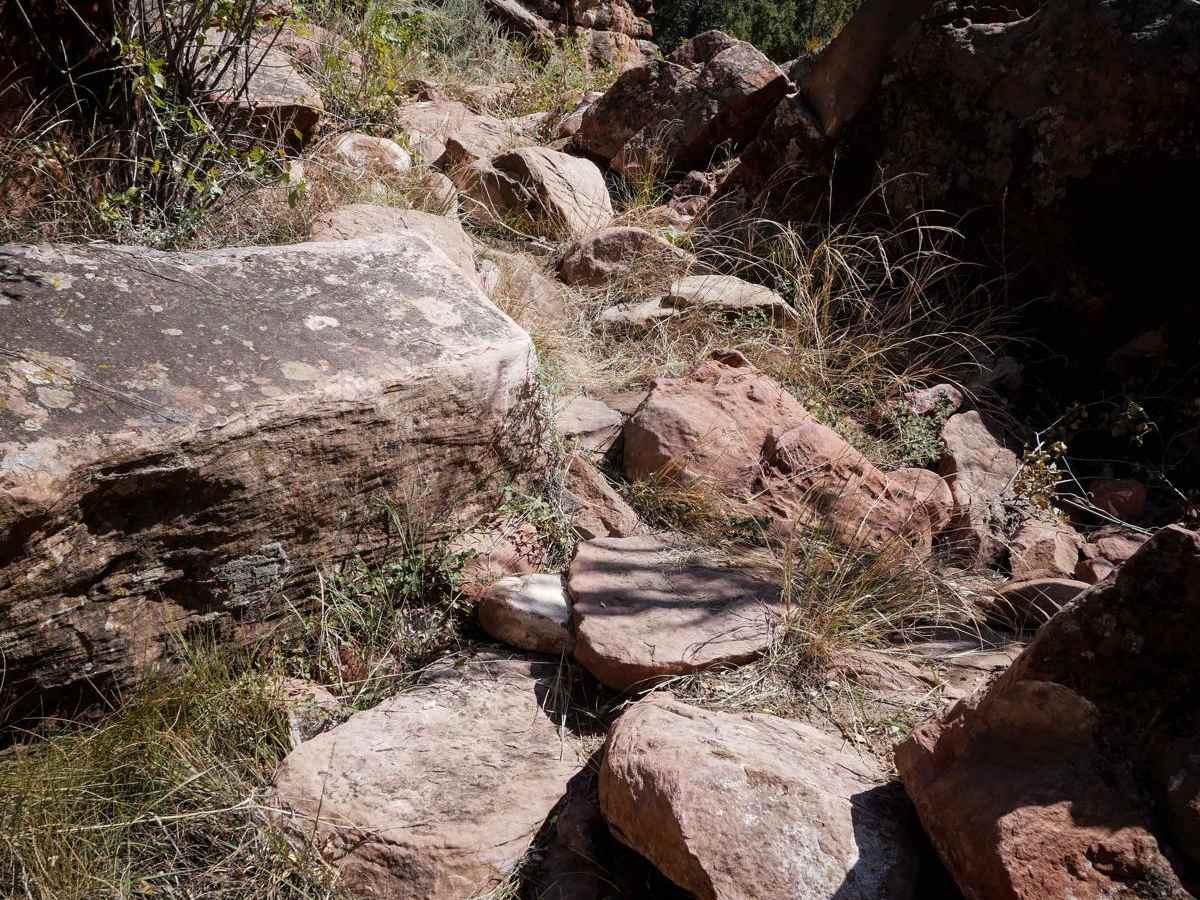 Warmup Trail trail photo