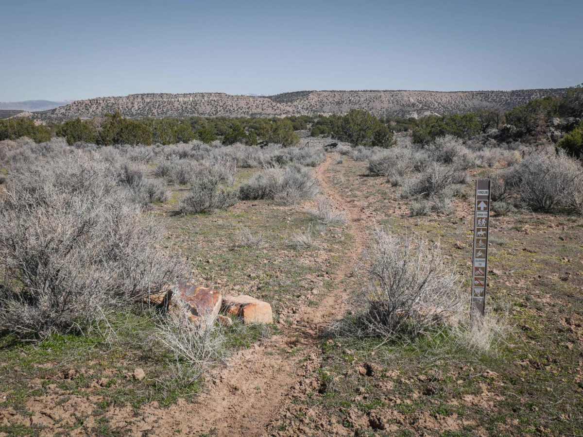 Fenceline photo 2