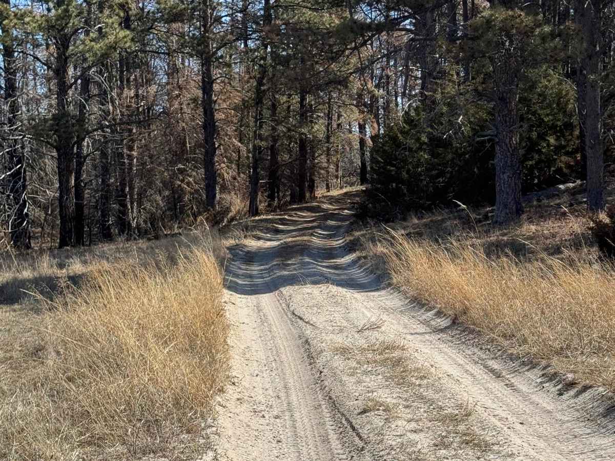 Forest Road 201-1 photo 3