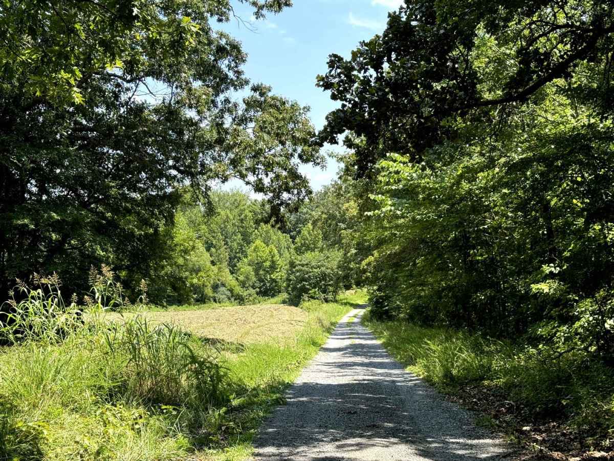 Fords Bay Road trail photo