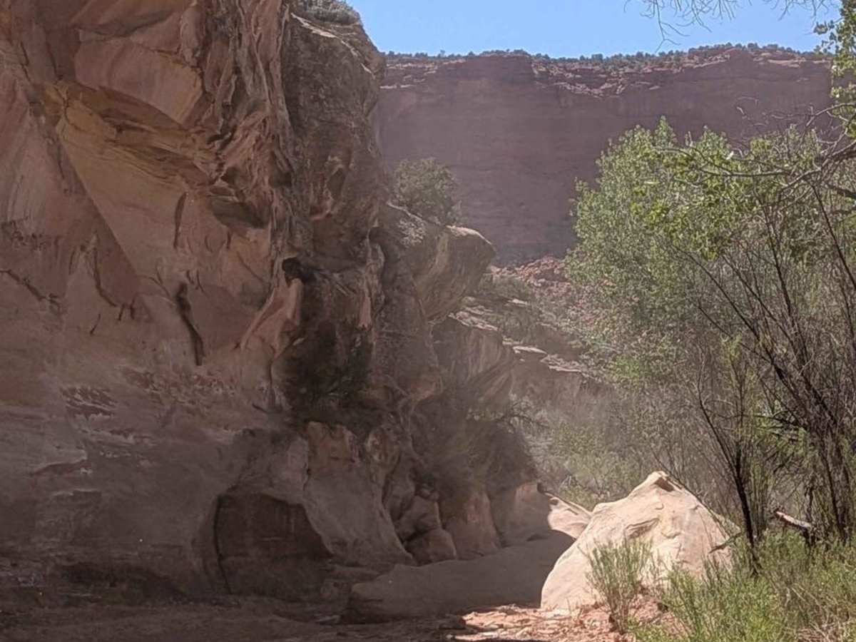 Horseshoe Canyon photo 6