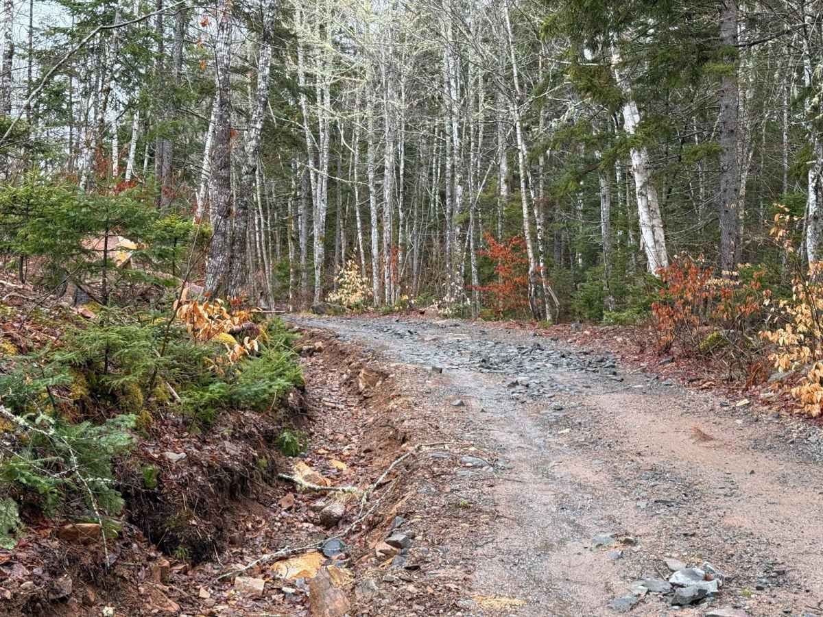 Eldridge Road photo 6