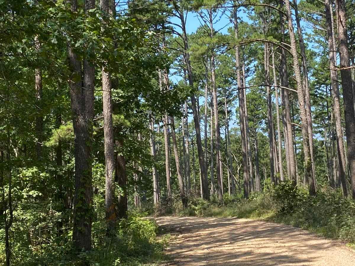 Bass River Scenic Route photo 5