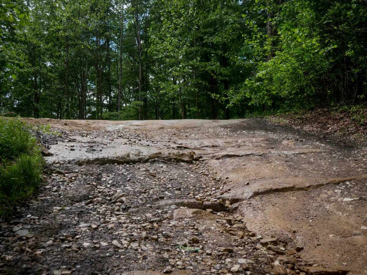 IB 40 trail photo