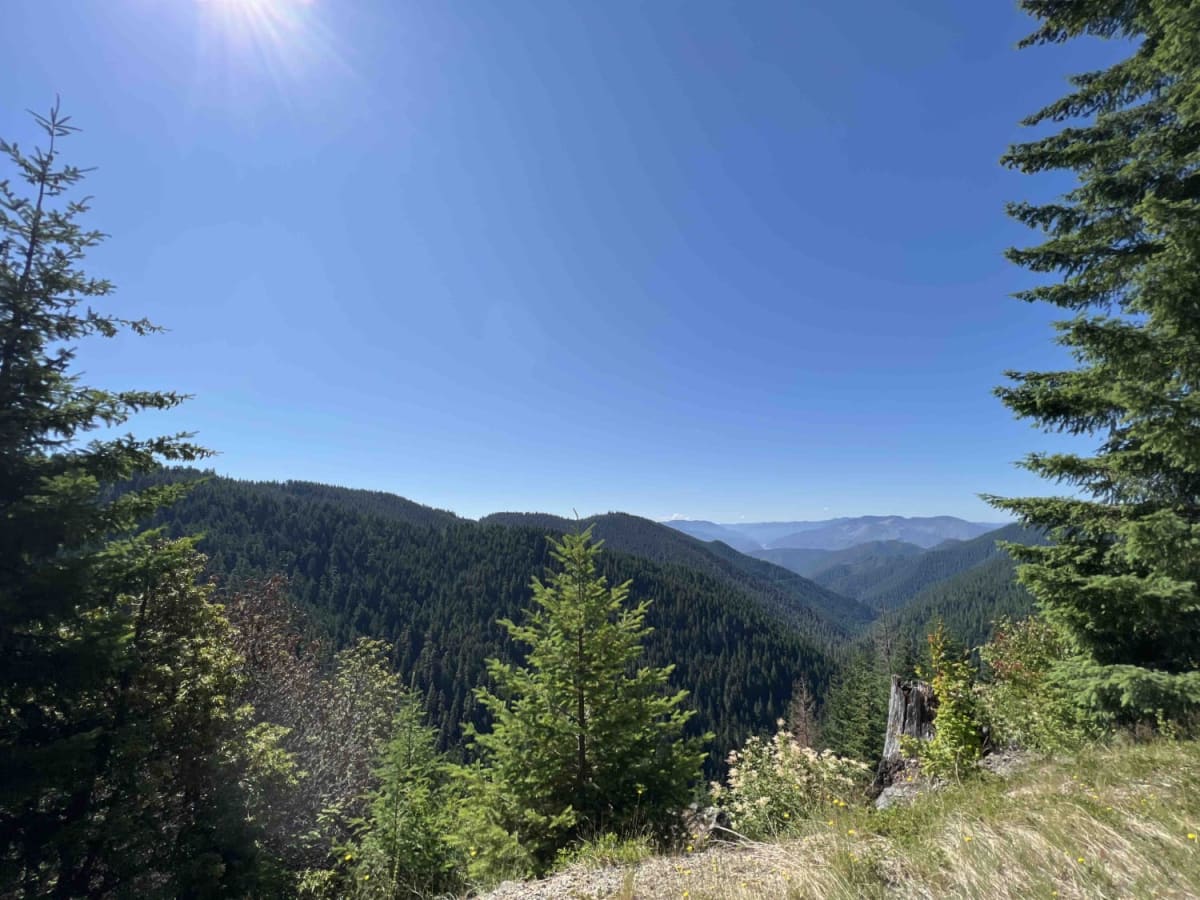 Bear Pass 1509 trail photo