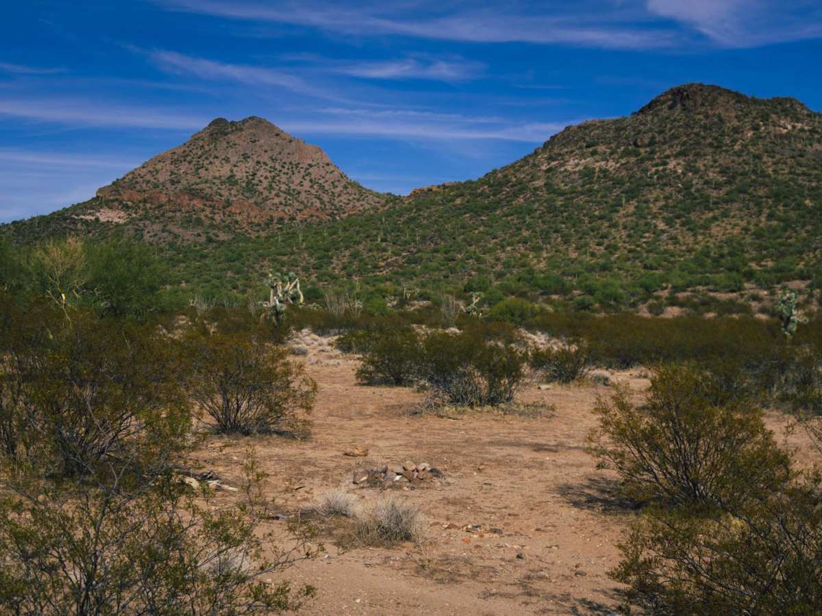 Black Mountain Camp photo 4