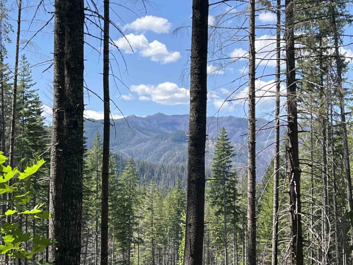 Oak Grove/Timothy Lake photo 4