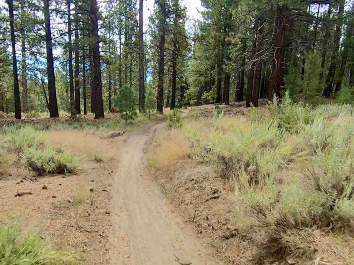 Campground Connector photo 3