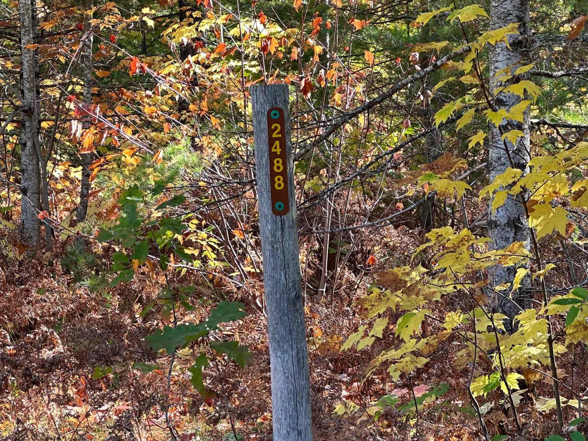 FS 2488 trail photo