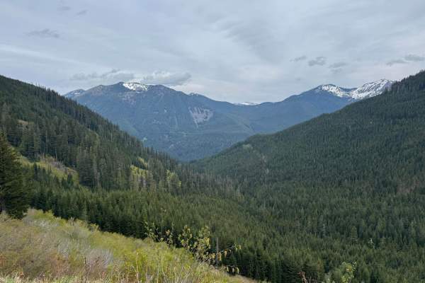 Hanson Creek - 5510