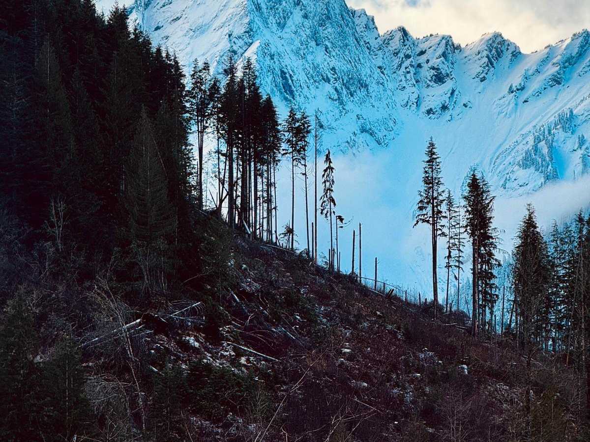Jones Lake photo 4