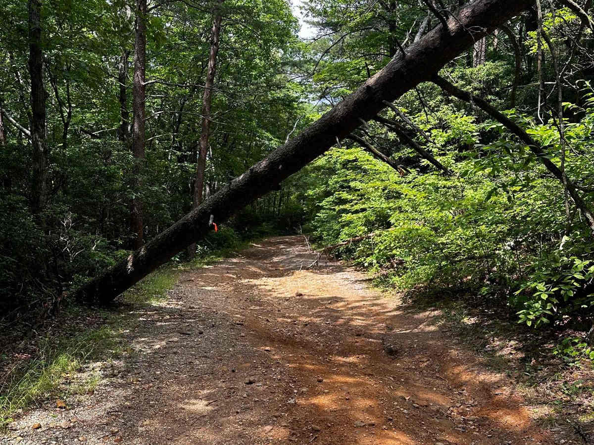 Horseshoe Ridge photo 4