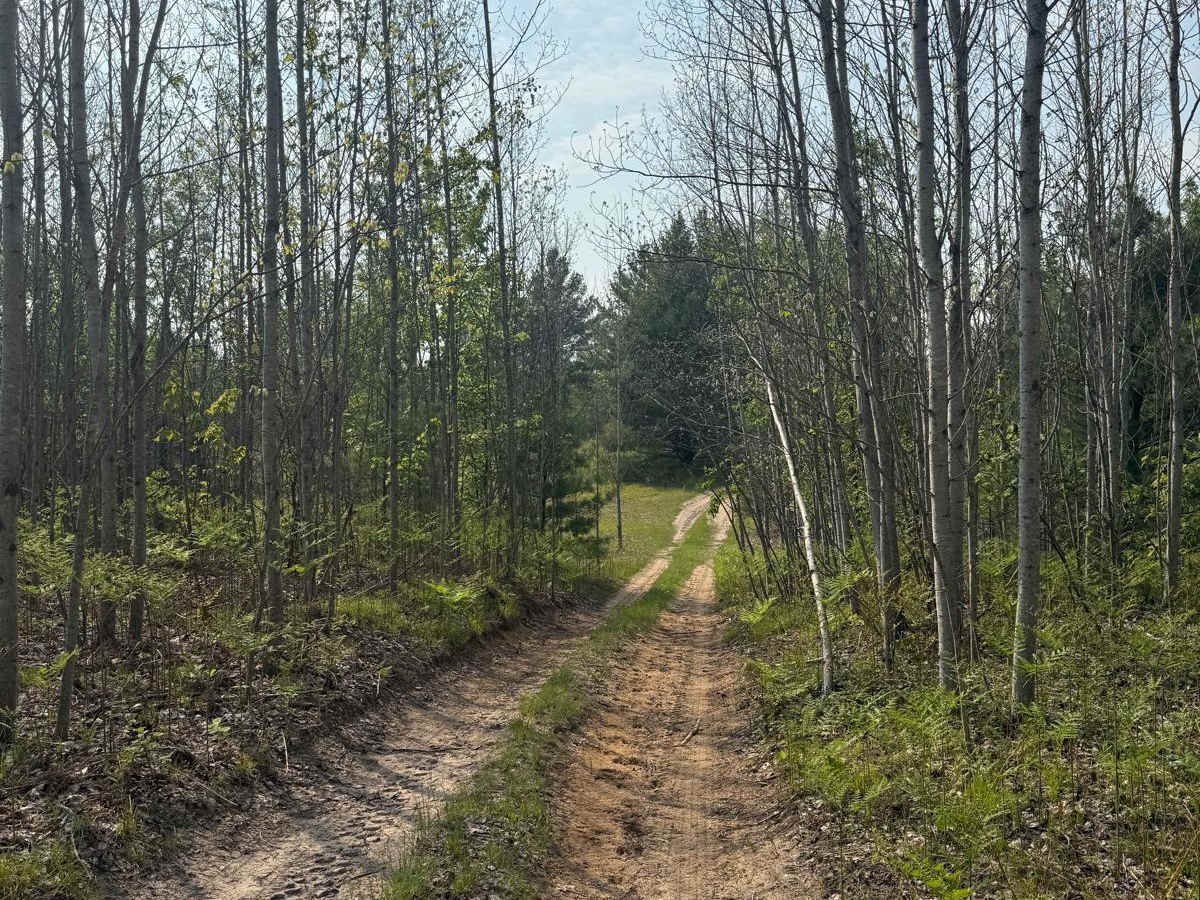 39-1/4 Trail trail photo