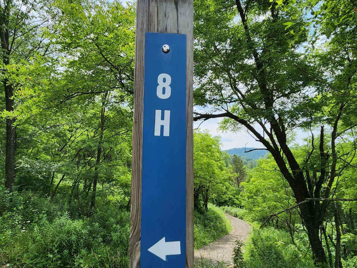 Trail 8H - Rock Run Recreation Area trail photo