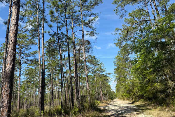 Evano Trail