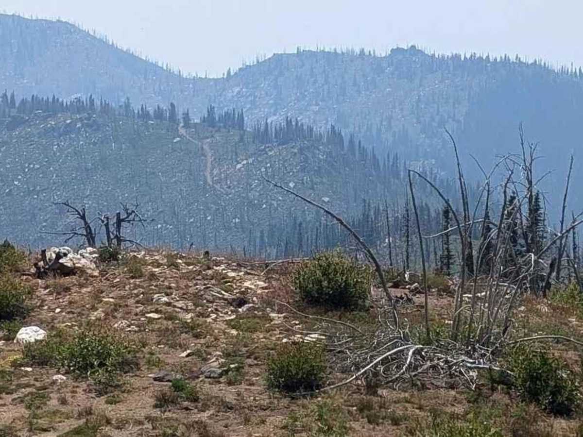 Nut Basin - FR 441 photo 6