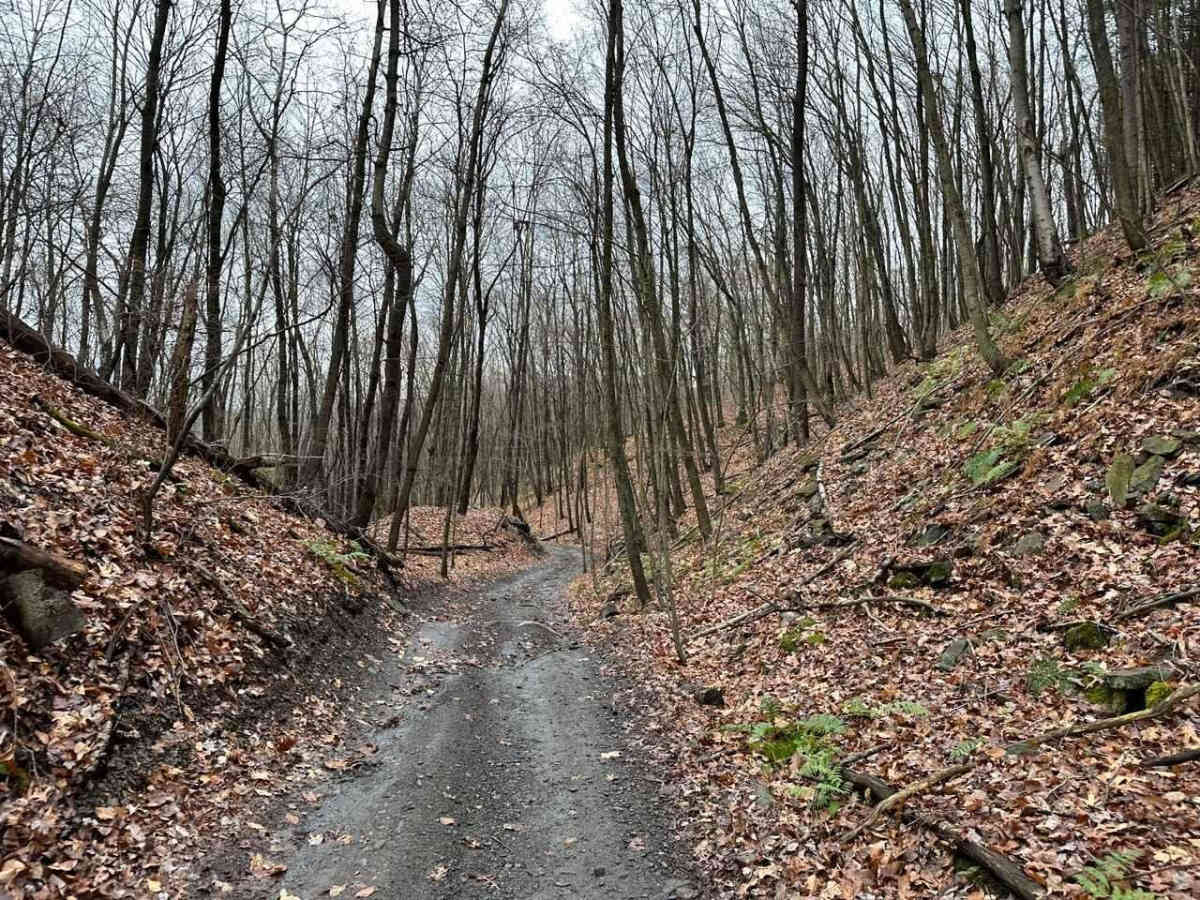ATV Trail 62 photo 2