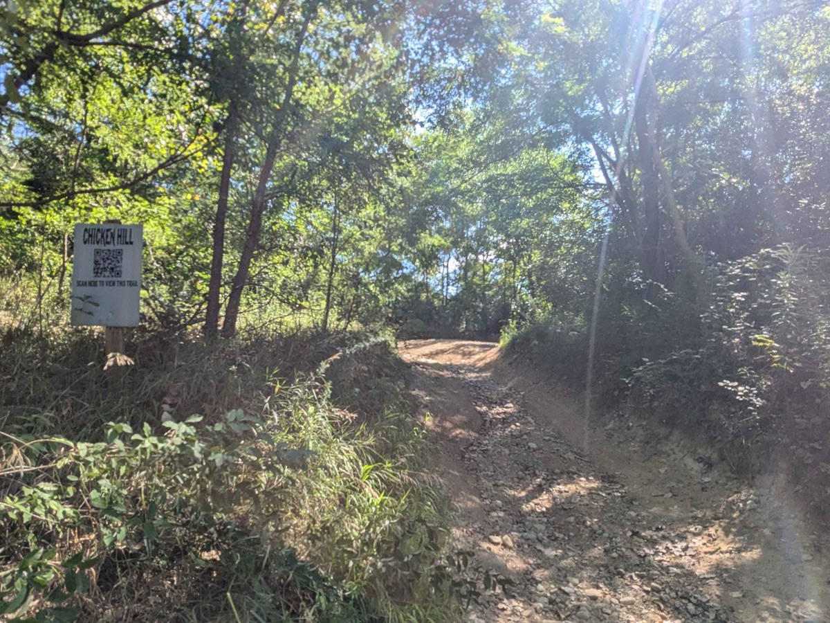Chicken Hill trail photo