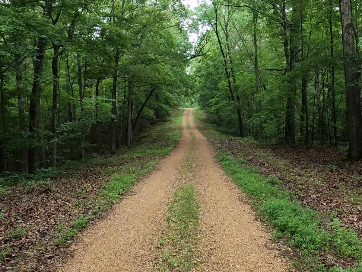 Fox Hollow Hill FSR 218 photo 5