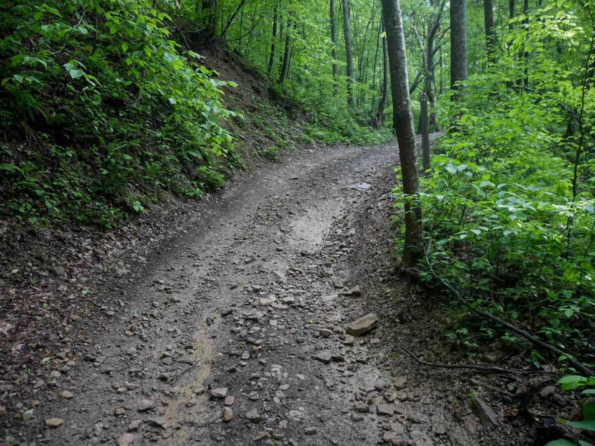 B69 trail photo