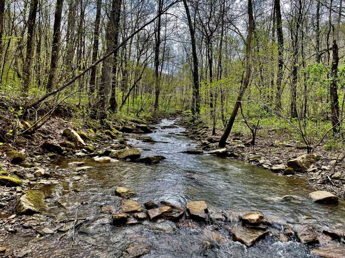 Mill Creek Blue Loop photo 3