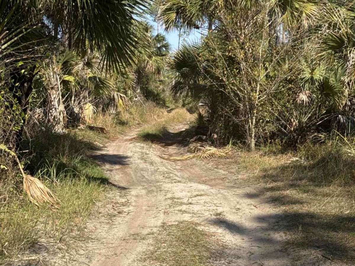 Blue Trail photo 6