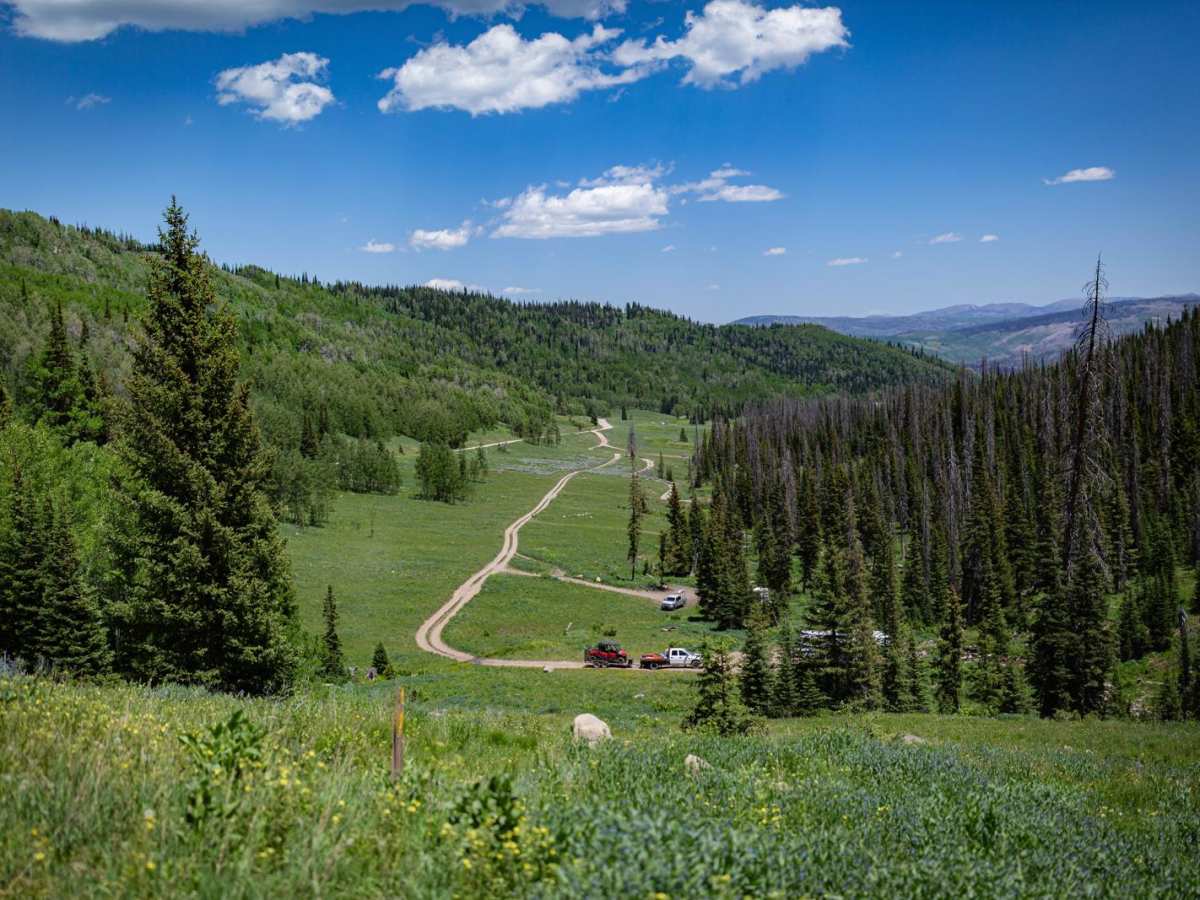 Mill Hollow - Duchesne Ridge (FR 70054) photo 5