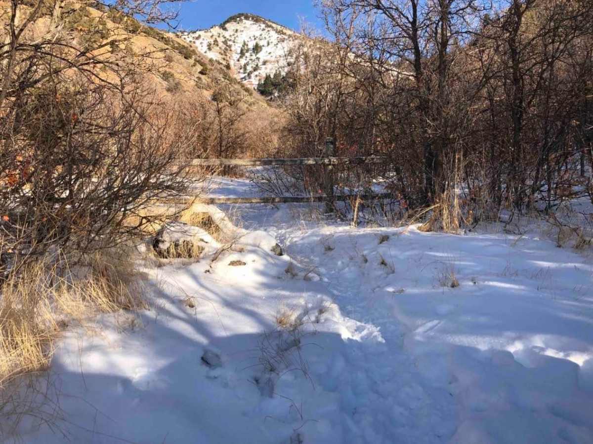 Hyde Park Mine photo 2