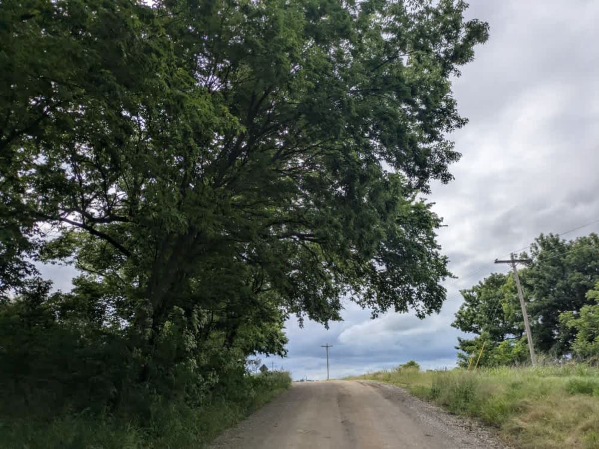 Gallop Road photo 4