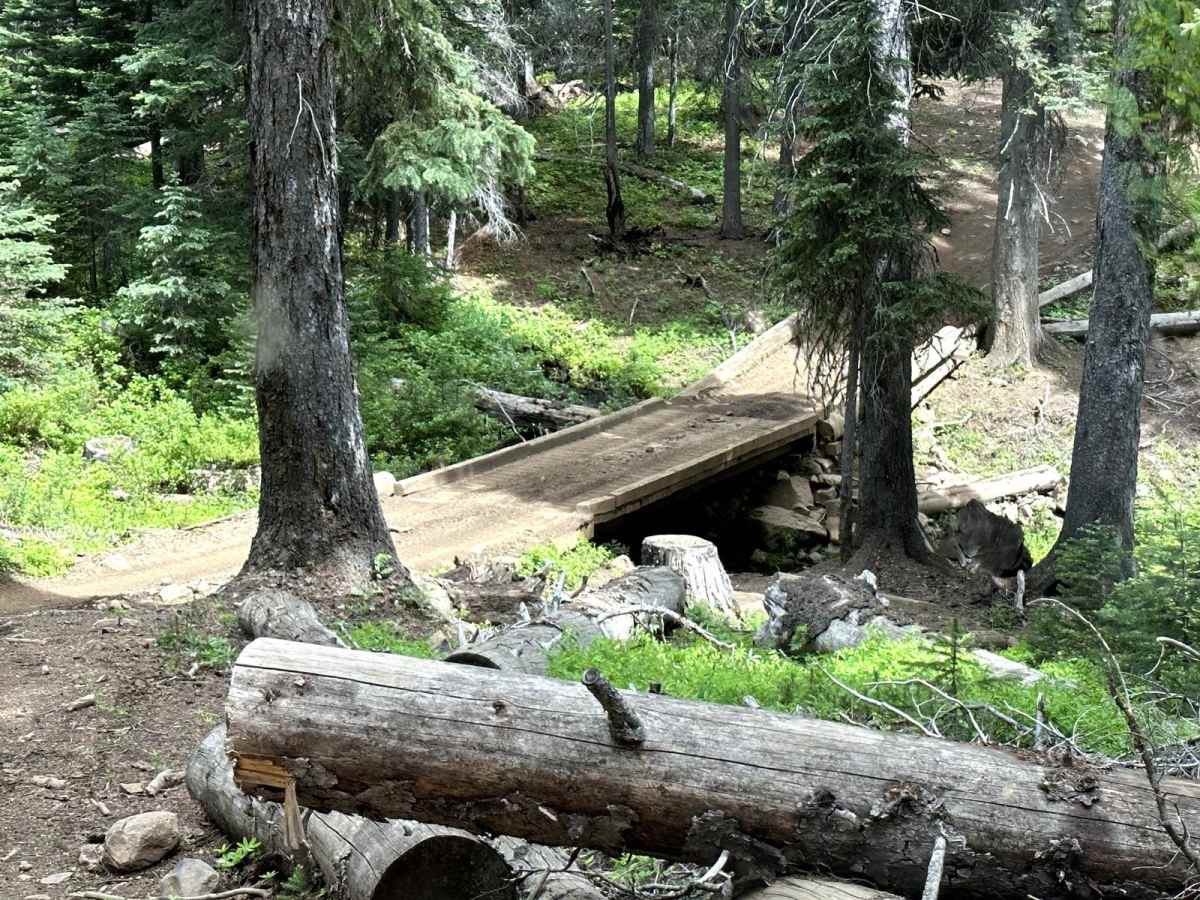 Shoestring Trail trail photo