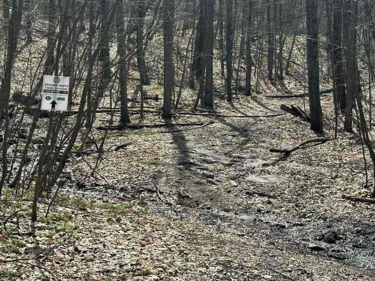 Ashland 115 trail photo