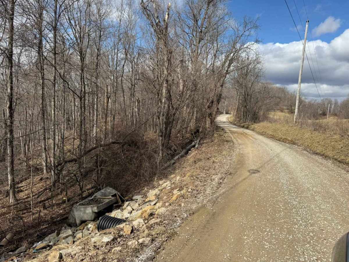 Plecher Road to Pyramid House photo 5
