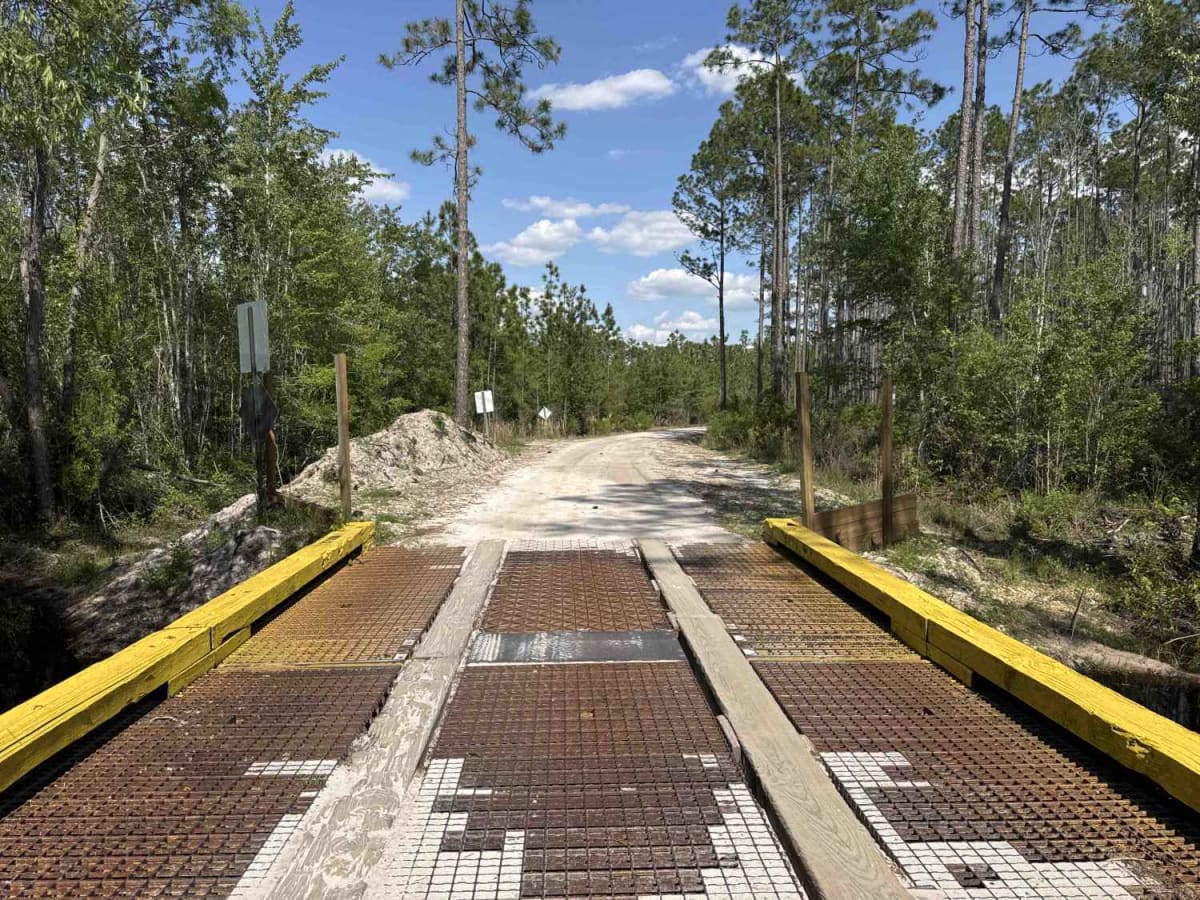 Sandhill Grade - Osceola NF 200 trail photo