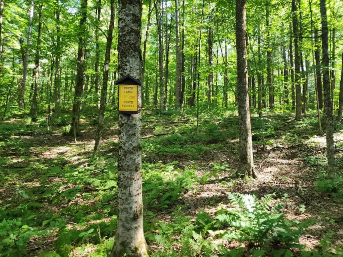Boody Hill Trail photo 3