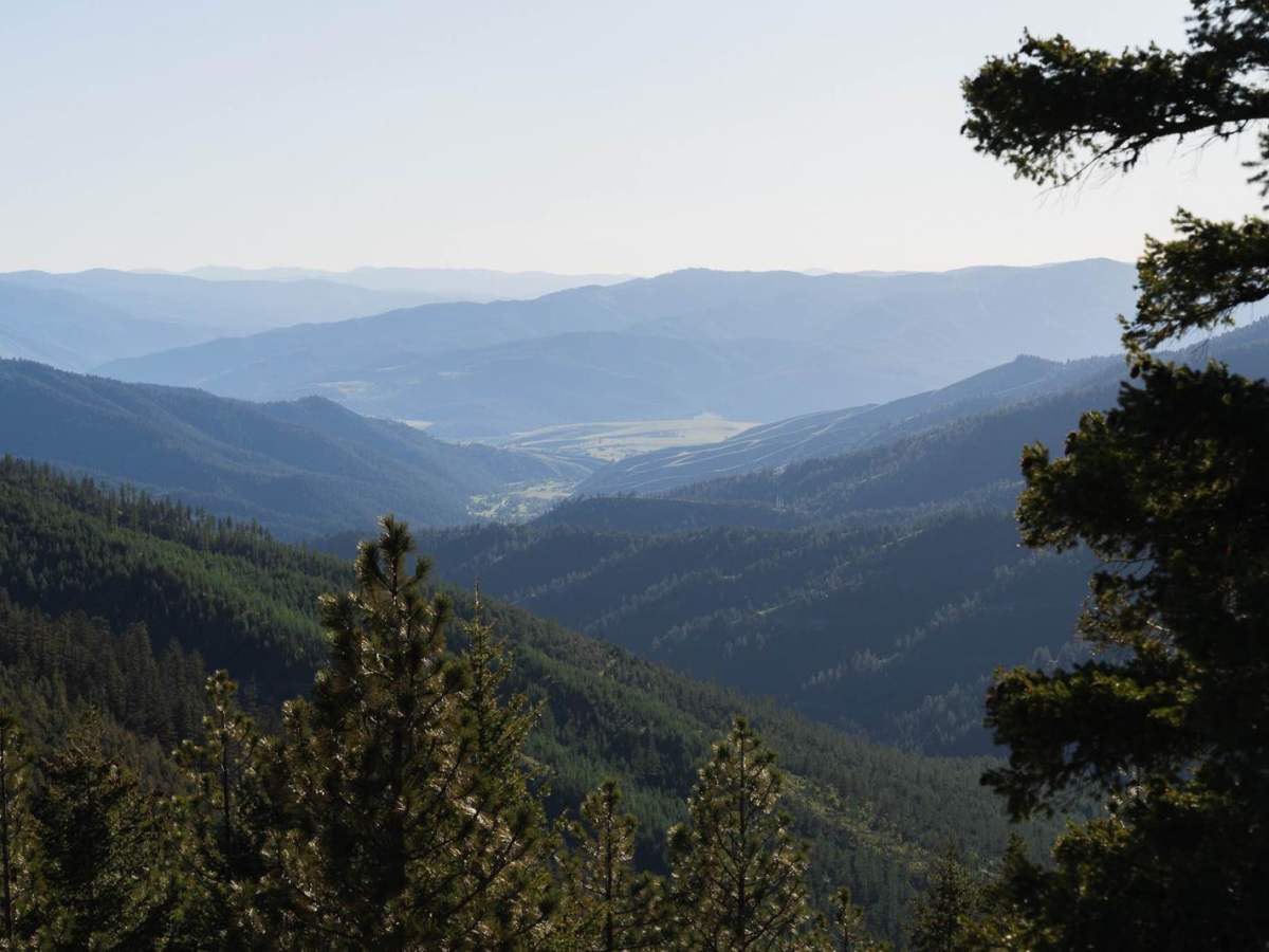 Forest Service (FS) #2127-1 photo 6