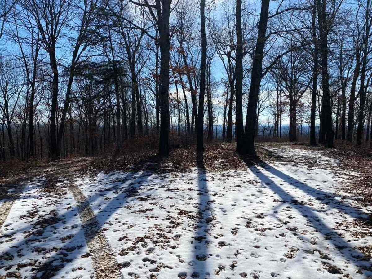 Tennyson Hollow West - FS 507 photo 3
